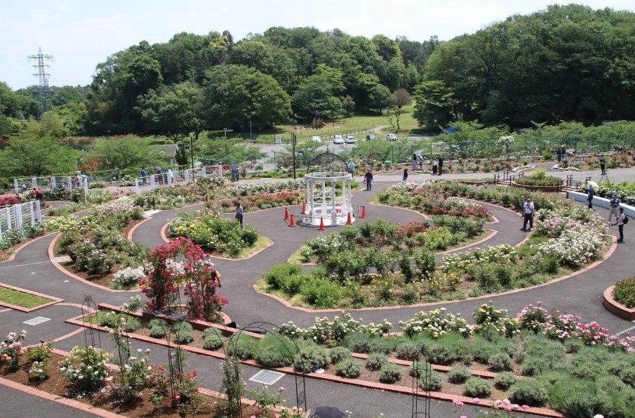 🏞️ 마치다 시립 노즈타 공원 이미지 8